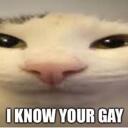 KORNS KITTIES. (call me daddy) Banner