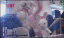 meme zone banner