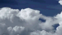SFCRP banner