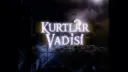 Kurtlar Vadisi Banner