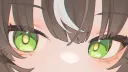 Daidai is a cat banner