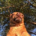 Loss (Zenci Alım) #Reklam #Hengaut #ERP #Analfisting #YetkisizAlım #LGBTQI++ #FullHd1080pUltra4KOled Banner