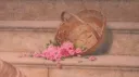 -` LOTA customization ´- banner