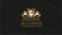 Chata GaminG banner