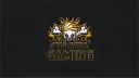 CH Gaming banner