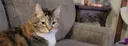 Kiki ❤#6946 banner