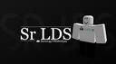  LDS HUB  community #22000 Banner