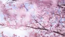 Galaxy's Imperium Discord server banner