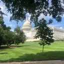 Vanilla Lounge Banner