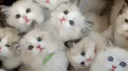 территория Bumajkи banner
