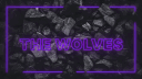 The Wolves Academy Discord server banner