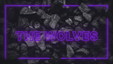 The Wolves Academy Banner