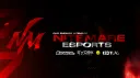 NiteMare Esports banner
