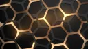 WoonderAlgo Discord server banner