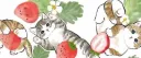 ˚₊‧꒰ა 𝚅𝚎𝚒𝚕𝚊 ໒꒱ ‧₊˚ Discord server banner