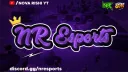 NR Esports banner