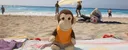 banner