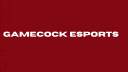 Gamecock Esports Club banner