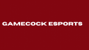 Gamecock Esports Club Banner