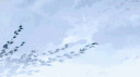 ₊ᡣ𐭩 𝚝𝚊𝚢𝚌𝚘𝚛𝚍 ᡣ𐭩₊ banner