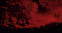 𝘾𝙧𝙞𝙢𝙨𝙤𝙣 𝘿𝙤𝙢𝙖𝙞𝙣 banner