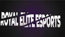 ROE Gaming banner