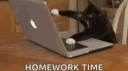 Homework Help banner