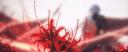 Anicos Banner