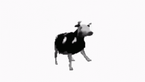 Meme Empire Discord server banner