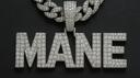 Mane Banner