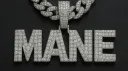 Mane banner