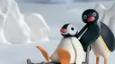 Noot Noot#1303 banner