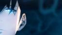 Soba's Kitchen Banner