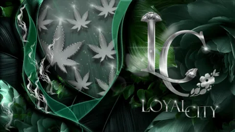 💎~ LC ON TOP ~💎 banner