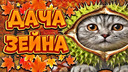 🎄〡Дача Зейна〡❄ Discord server banner
