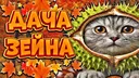 🍁〡Дача Зейна〡🍂 banner