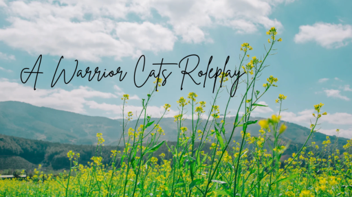 A Warrior Cats Roleplay Discord server banner