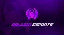 Team Oblivion™ banner