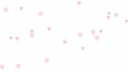 salvatore ୨୧ MSP banner