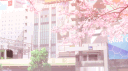 /pawsz banner