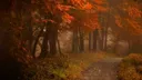 Nightbloom banner