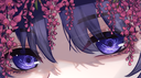 La YayoNation Banner