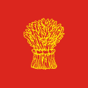 Junto 🇻🇳 banner