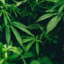 Tokers of Texas Banner