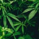 Tokers of Texas Banner