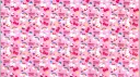 ✦ Ayesha Central banner