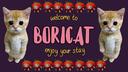 boricat Banner