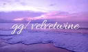 𝐕𝐞𝐥𝐯𝐞𝐭𝐰𝐢𝐧𝐞™ | 𝐒𝐨𝐜𝐢𝐚𝐥 Discord server banner