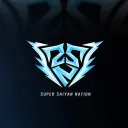 Night Owls Racing banner