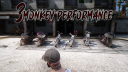 3 Monkey's Customs server banner
